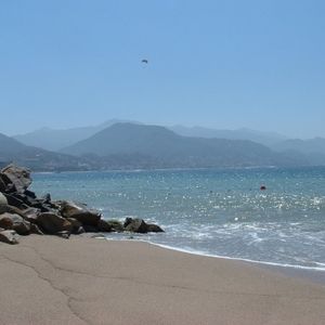 Meet your Posher, Toni